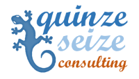 Quinze Seize consulting